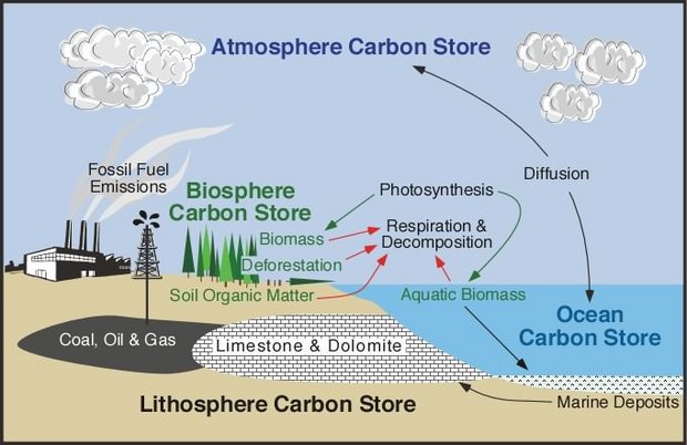 the-biosphere-climate-connection-beyond-weather-the-water-cycle